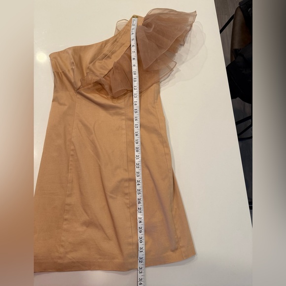 Mark + James by Badgley Mischka Organza One-Shoulder Tan Ruffle Dress - Picture 8 of 11